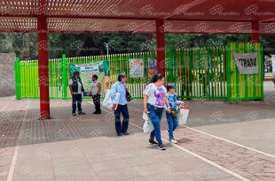 Lectura, actividad física, tareas del hogar y visitas a espacios públicos son algunas de las alternativas para mantener activos a niñas y niños durante el receso escolar.