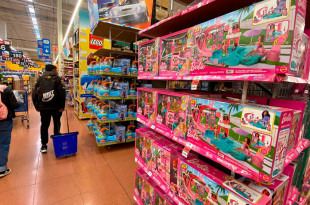 Los giros con mayor actividad económica son aquellos dedicados a la venta de juguetes, artículos infantiles, electrónicos, ropa, calzado y accesorios