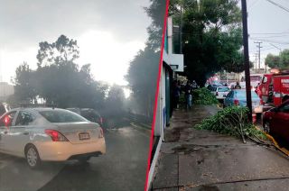 #Video: ¡Precaución! Tormenta y granizo derriban más árboles en #Toluca