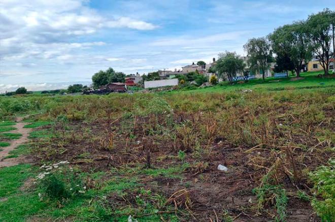 En #Edoméx, estrés hídrico afectó los cultivos