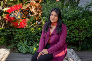 La bióloga Mariluz Anaya Villegas, especialista en lepidópteros y egresada de la UAEMéx, comparte su investigación sobre mariposas monarca en Edoméx.