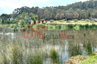 Descuidado, así luce el Parque Sierra Morelos