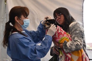 La CEPANAF realizará una mega jornada de esterilización gratuita para perros y gatos en Texcoco el próximo 4 de octubre.