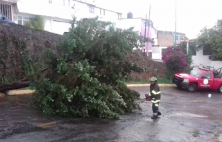 Intensa lluvia en Valle de Toluca provoca estragos