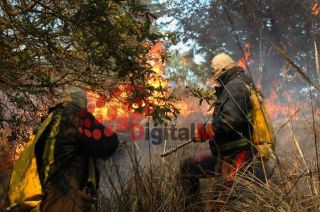 Los municipios con el mayor número de incendios son: Ixtapaluca, Ocuilan, Nicolás Romero, Chalco y Zinacantepec