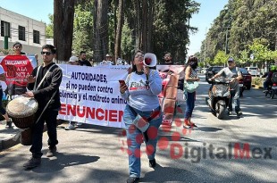 #Video: Activistas reclaman a gobierno del #Edoméx retroceso en protección animal