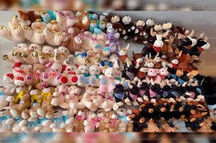 Alrededor de 120 talleres y pequeñas empresas de Xonacatlán participan en una estrategia para ampliar sus mercados y fortalecer la industria del peluche mexiquense.