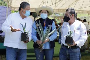 Entre los apoyos se entregaron mil plantas de agave, desbrozadoras, actas constitutivas y cercos preliminares