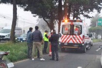 La circulación se vio afectada durante algunos minutos.