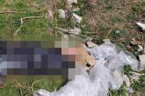 Vecinos alertaron de un bulto sospechoso