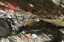 Los restos fueron encontrados en un paraje de difícil acceso en la zona sur del Estado de México; autoridades no descartan que haya más víctimas