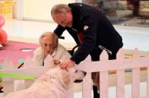 Además, se han realizado 27 Ferias de Adopción.