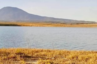 El menor se encontraba en el lugar junto con un grupo de amigos, quienes no pudieron hacer nada para rescatarlo.