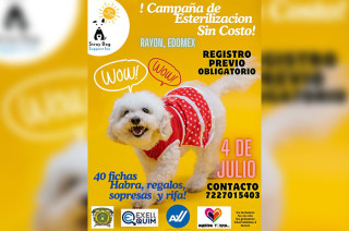 Esta campaña se realizará el próximo viernes 4 de julio en el Teatro al aire libre “El Doris”, dentro del Espacio Violeta para la Mujer.