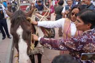 Hoy quedaron jubilados el “Chilindrino” y “Pablito”, así como los caballos “Astro”, “Rayo”, “Veloz”, “Elefante” y “Canela”, quienes por años jalaron una carreta