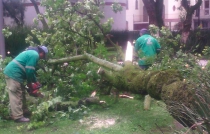 En Toluca sin afectaciones graves por lluvias de las últimas horas