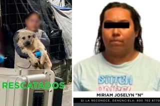 Durante el cateo a un inmueble en San Mateo Atenco, autoridades localizaron a tres menores de edad, rescataron a 15 perros y detuvieron a una mujer.