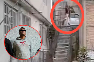 Video: Capturan a sujeto por arrojar por escaleras a “Lobito”, perro maltratado en Naucalpan