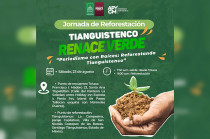 La Asociación de Periodistas y Comunicadores Mexiquenses (APYCM) Periodismo con Valor A. C., realizará su segunda jornada de reforestación este sábado 23 de agosto en coordinación con el Ayuntamiento de Santiago Tianguistenco.