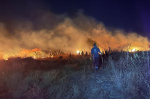 Incendio forestal en el Estado de México moviliza a cuerpos de emergencia