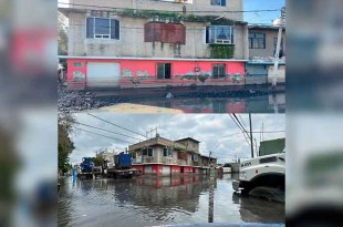 Hasta el momento, se han retirado más de 245 toneladas de basura.