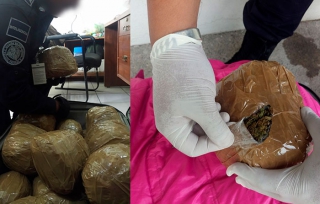 Aseguran federales 10 kilos de mariguana