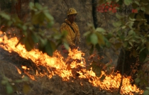 Contingencia ambiental alcanza al Valle de Toluca: Probosque