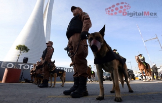 Fuerzas policiacas despliegan, en principales vías, operativo por vacaciones