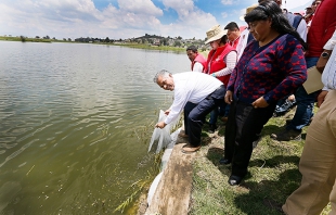 Aprovecha Toluca cuerpos de agua del municipio para la acuacultura