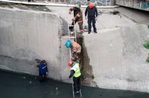 Circulaba en su bicicleta sobre la avenida Recursos de la colonia Las Golondrinas