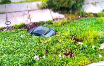 Los hechos se suscitaron en la llamada Curva del Diablo, en la colonia Potrero del Rey