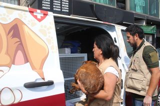 La legislación reconoce a los animales como seres sintientes y prohíbe prácticas de crueldad.