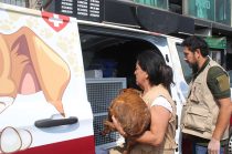 La legislación reconoce a los animales como seres sintientes y prohíbe prácticas de crueldad.