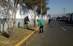 Continúan labores de mantenimiento en áreas verdes de Toluca