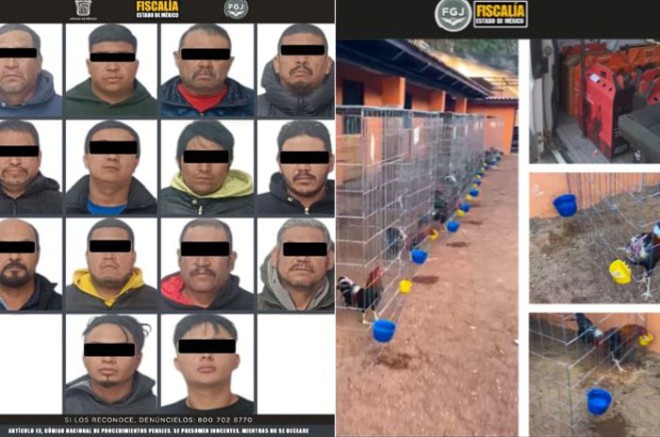 Durante la acción operativa, fueron hallados 9 gallos muertos, 36 gallos vivos y 14 personas fueron detenidas.