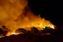 Al lugar arribó la alcaldesa Xóchitl Flores Jiménez, quien llamó a la población a protegerse ante el intenso humo.