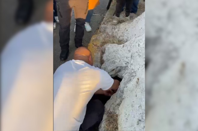 Rescate de perra y sus cachorros por bomberos en Ecatepec