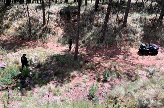 El hallazgo ocurrió tras el reporte de un ciudadano que observó restos durante una caminata