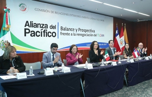 Alianza del Pacífico plataforma para diversificar el comercio: Gómez del Campo