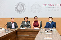 Este proyecto contempla infraestructura específica, incentivos fiscales y facilidades administrativas para atraer inversión y fomentar el crecimiento económico