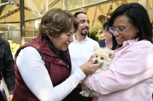 •	En esta Jornada participan médicos veterinarios del Instituto de Salud del Estado de México y la Cepanaf.