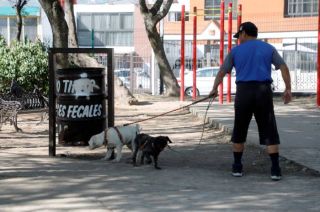 Se destinó un área para perros que ocupa 40 por ciento de la superficie del lugar