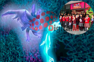 ctividades gratuitas para niños de 6 a 13 años, con áreas sobre ajolotes, genética, realidad virtual y módulos interactivos, impulsadas por COMECYT