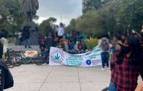 &quot;No queremos que nos limiten ni con cantidad de plantas, ni con licencias, ni con portación de tantos gramos&quot;, comentó