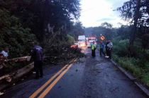 No se reportaron personas heridas ni daños adicionales por este incidente.