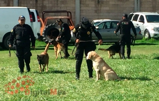 Salvar vidas, objetivo de los binomios de la Secretaría de Seguridad