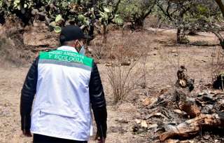 El pasado 22 de abril el envenenamiento de perros fue denunciado en redes sociales