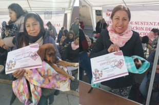 Brigadas veterinarias del Gobierno de Tlalnepantla realizan jornadas gratuitas de esterilización