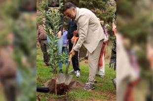  En el caso del Cerro de los Magueyes, se destinarán alrededor de 500 metros cuadrados para la siembra de nuevos árboles.