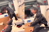 Usuario del Tren Interurbano “El Insurgente” es grabado mientras orina dentro de un vagón